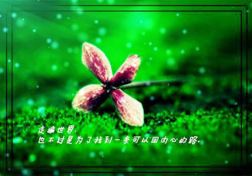 关于人生感悟的心情短语大全