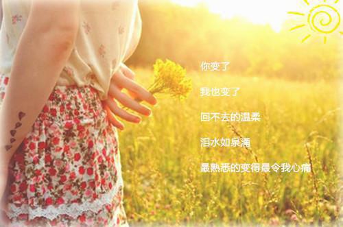 姜虞江叙礼免费 告白全宿舍后：后续完整版小说