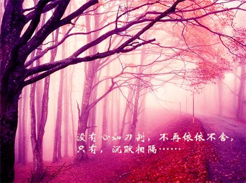 服务顾问求职简历表格