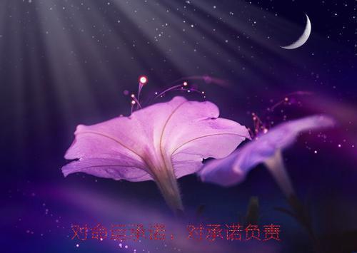 标准通用空白简历表格
