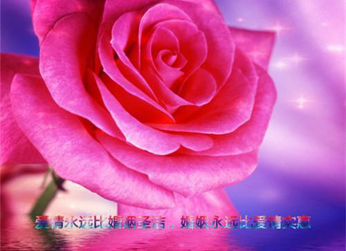 你活着，却死在我等你的第三年最新章节_你活着，却死在我等你的第三年全文免费阅读