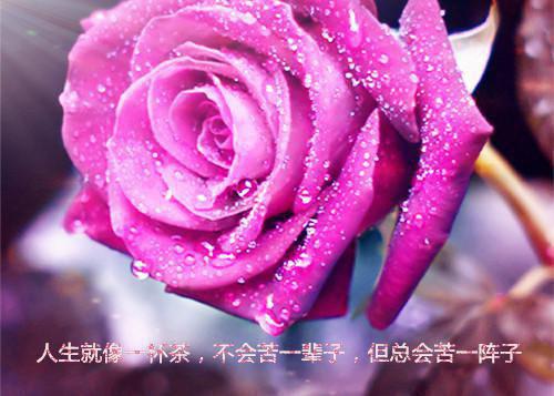 小说辨认迷局(陆梨)免费陆梨读-美文摘抄陆梨-小说辨认迷局陆梨大结局全文免费陆梨读