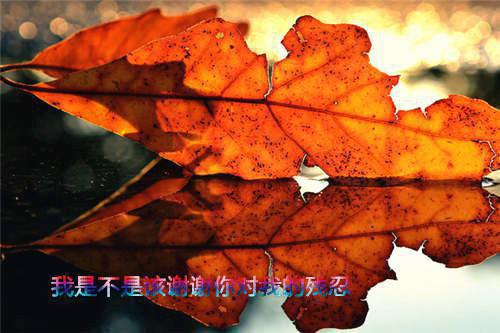 女性必读的经典书籍排名