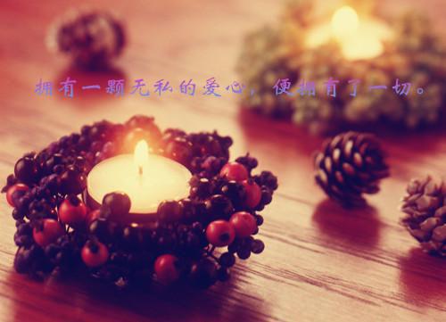 温絮语段鸣喻全文阅读_温絮语段鸣喻全文免费阅读