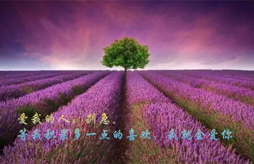 (番外)+(全文)梦断爱已远：结局+番外+完结（沈沅傅司瑾）完整全文在线阅读_梦断爱已远：结局+番外+完结免费阅读最新章节列表（沈沅傅司瑾）