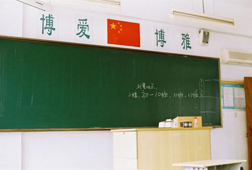沈相宜顾照野最新章节_沈相宜顾照野全文免费阅读