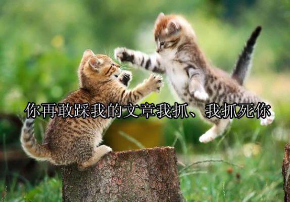 老公有个纯友谊女兄弟，我选离婚最新章节_老公有个纯友谊女兄弟，我选离婚全文免费阅读