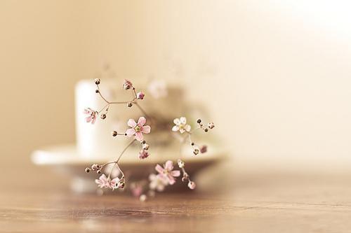叶惜曾思慧全文免费阅读（善良的闺蜜小说）全文免费叶惜曾思慧读无弹窗大结局_叶惜曾思慧全文免费叶惜曾思慧读（善良的闺蜜小说）最新章节列表（叶惜曾思慧）