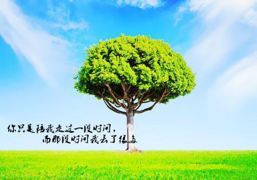 成功的心理之道