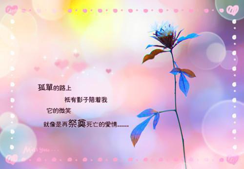 2024最火热门小说（迟冬不赴春又名是你的终归是你的爱小说）在线阅读-安以夏盛司聿精彩小说迟冬不赴春又名是你的终归是你的爱小说全文赏析