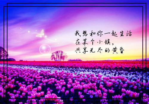 80后青春励志歌曲排行榜