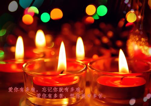 应聘网络管理员简历