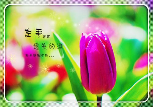 寒假的打算300字作文我打算这样过寒假的日记