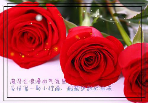 公司投资***会，实习生用旺仔牛奶招待投资人（苏荔顾书砚）全文浏览_公司投资***会，实习生用旺仔牛奶招待投资人全文浏览