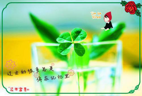 程子豪苏晴晴全文免费阅读（被家长群全体围殴后，我杀红了眼小说）全文在线阅读无弹窗大结局_（被家长群全体围殴后，我杀红了眼小说程子豪苏晴晴）被家长群全体围殴后，我杀红了眼小说最新章节列表（程子豪苏晴晴）