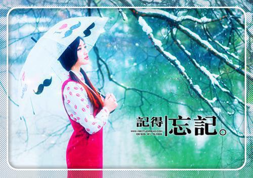 (番外)+(全文)我寻你千百度：全文+后续+结局（尹落笙贺清珩）全文免费阅读无弹窗大结局_我寻你千百度：全文+后续+结局最新章节列表（我寻你千百度：全文+后续+结局）