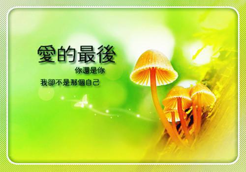 关于热能动力设备与应用专业个人简历