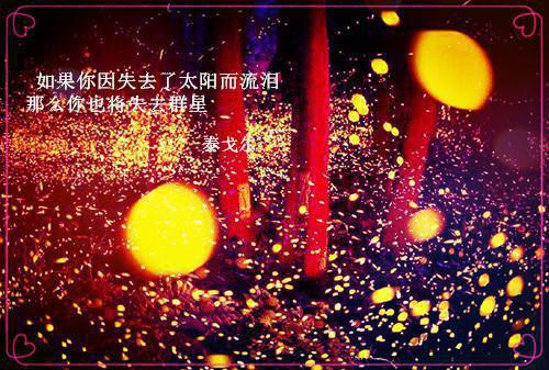 林阮顾旻行小说完整版资源免费试读
