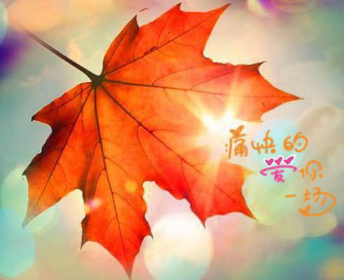 会计学大专的简历范文