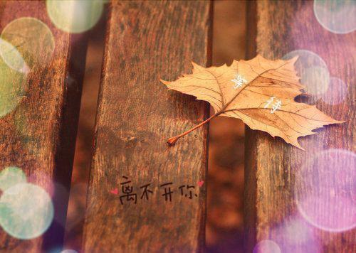 自动化测试工程师个人简历范文