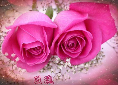 一切都没变，只是我不爱你了全文免费阅读(一切都没变，只是我不爱你了小说)全文免费阅读无弹窗大结局_ 一切都没变，只是我不爱你了小说免费阅读最新章节列表（叶兰溪顾砚舟）