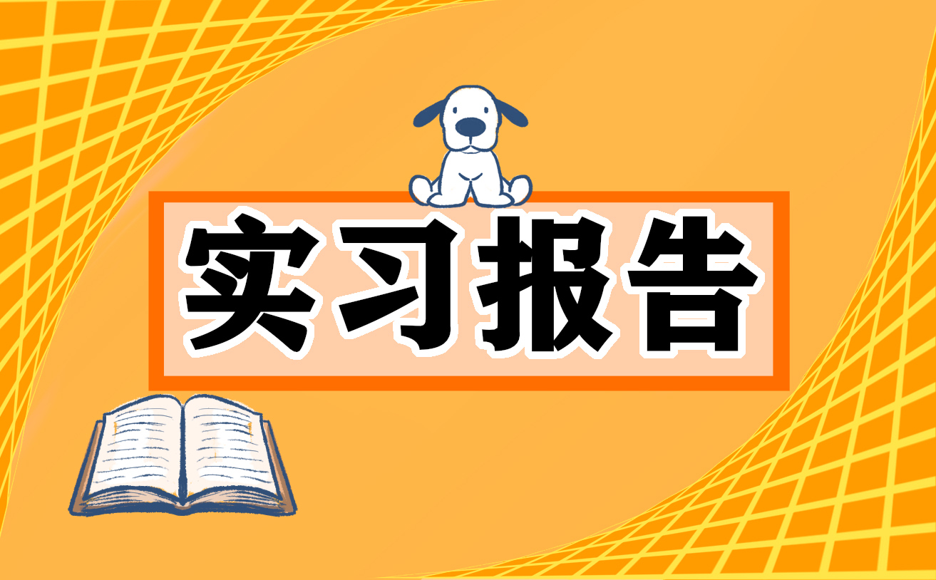 出纳实习总结范文