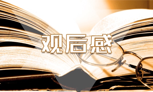 2024年开学第一课安全教育观后感