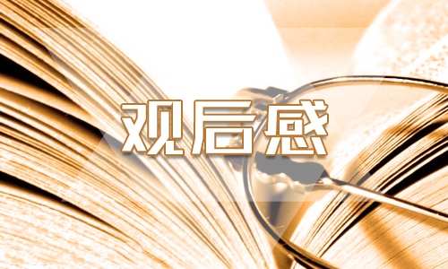 2024年安全教育开学第一课观后感范文
