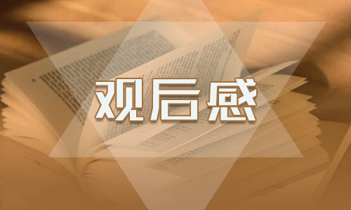 2024年消防安全教育第一课观后感