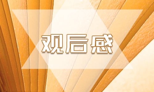 2024年消防安全开学第一课观后感心得体会