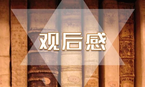 关于交通安全2024开学第一课观后感