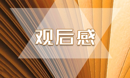 公共安全开学第一课2024观后感